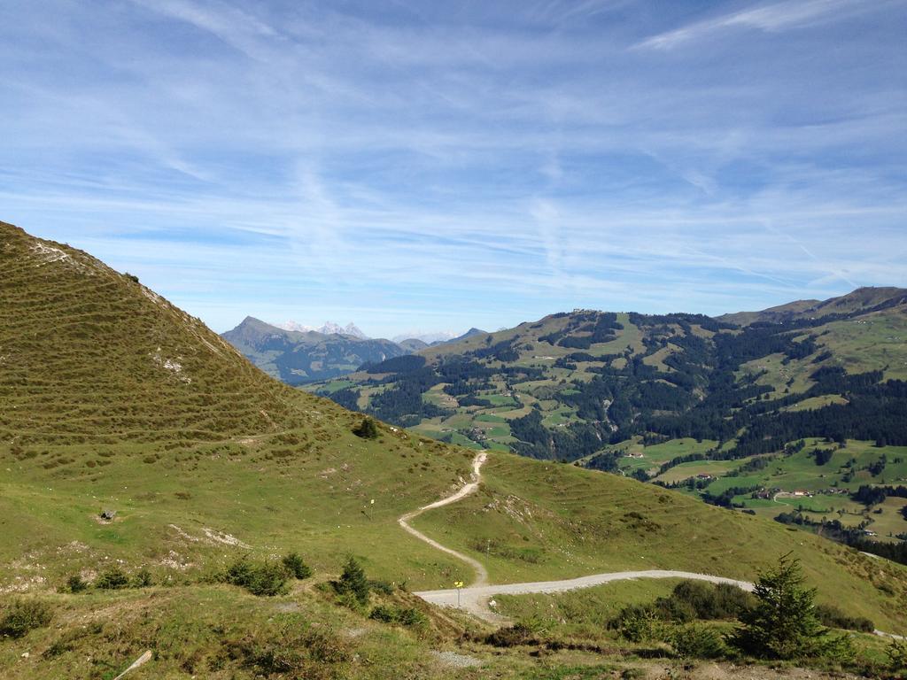 Appartement Lisa Schweiger Kirchberg in Tirol Esterno foto