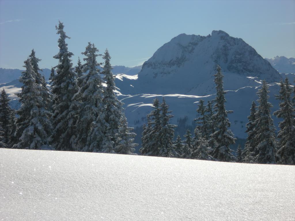 Appartement Lisa Schweiger Kirchberg in Tirol Esterno foto