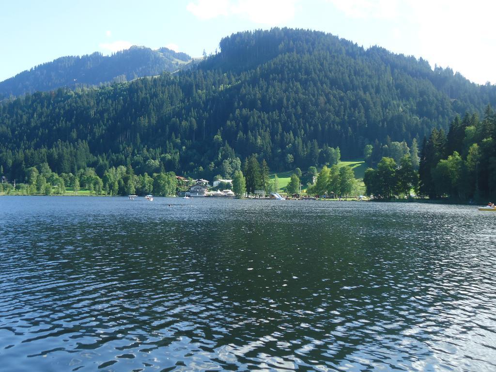 Appartement Lisa Schweiger Kirchberg in Tirol Esterno foto