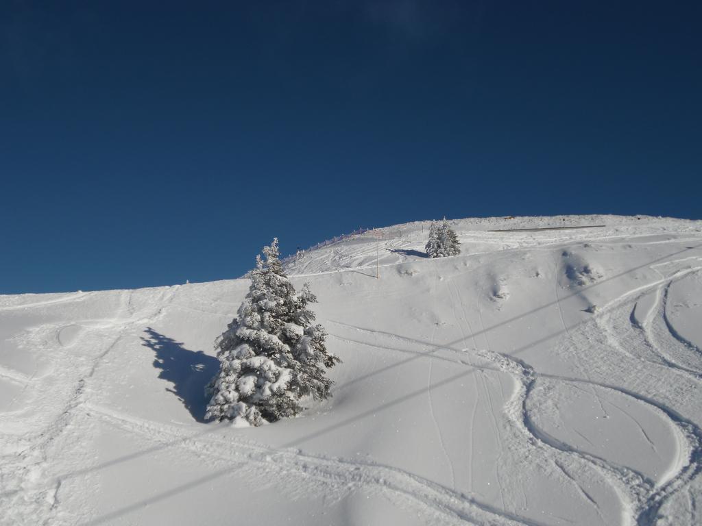 Appartement Lisa Schweiger Kirchberg in Tirol Esterno foto