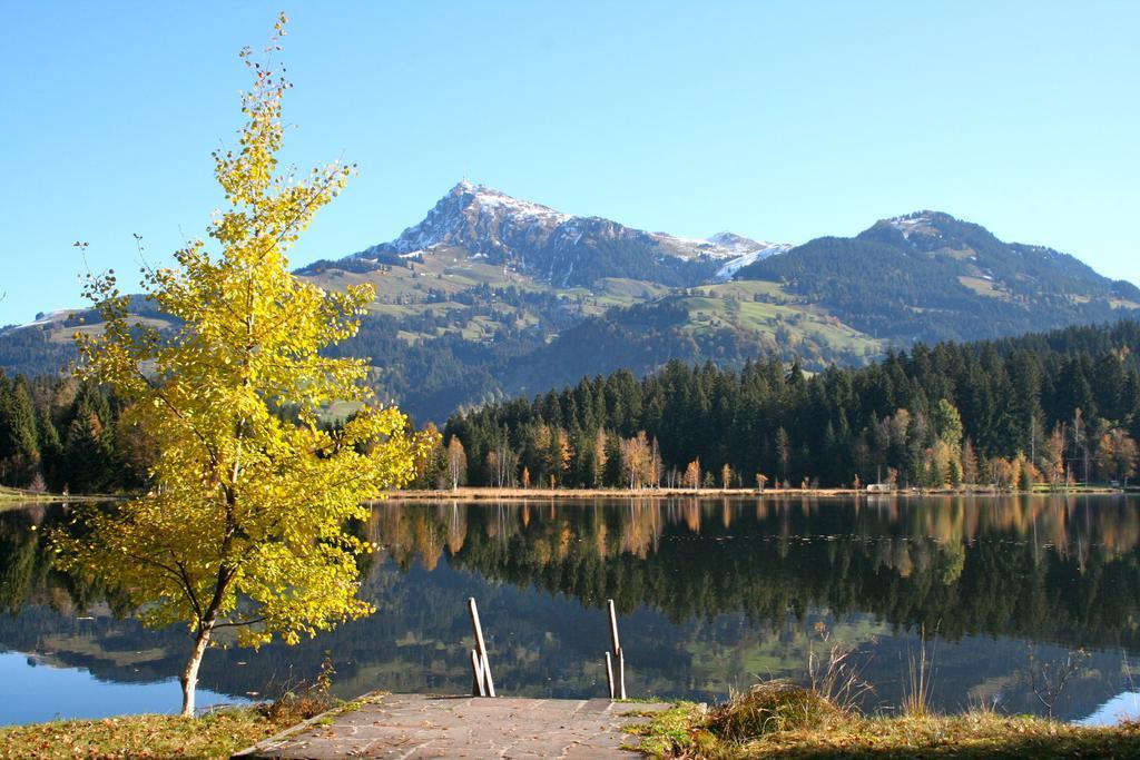 Appartement Lisa Schweiger Kirchberg in Tirol Esterno foto